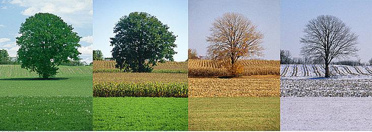 《LoopReap》Steam上线 神秘循环探索解谜