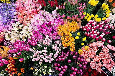 《毁灭战士：黑暗时代》PC版RTX 5090演示视频