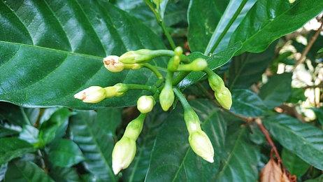 Steam喜加一：《模拟火车》系列游戏加DLC